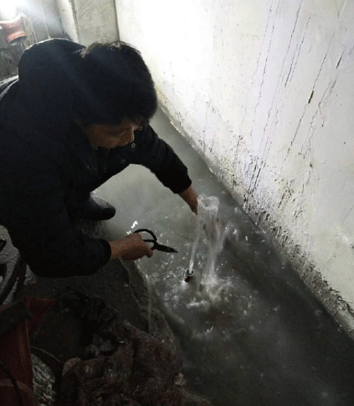 临沂临沭县防水堵漏
